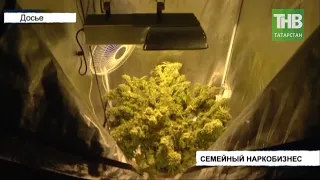 🍀 Бдительные соседи пресекли выращивание конопли * Казань | ТНВ