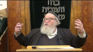 Rabbi Yitzchak Breitowitz: The Sale of Yosef and Free Will
