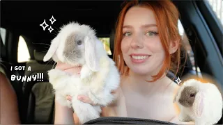 GETTING MY DREAM PET *first 72 hours with baby mini lop bunny*