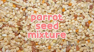 🌾 How I Make My Budgie Seed Mix | Parrot Kitchen 🌾