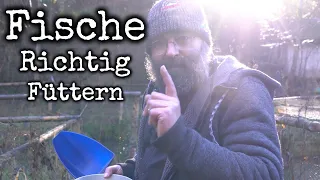 Forellen richtig füttern - Tipps zum Forellenfutter