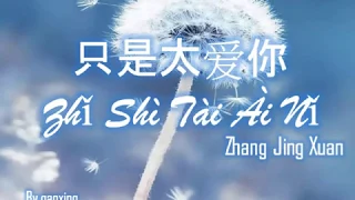 Lagu mandarin - Zhi Shi Tai Ai Ni - 只是太爱你 - Zhang Jing Xuan (dengan lirik)