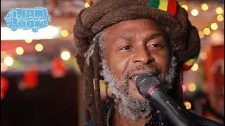 THIRD WORLD - "96 Degrees in the Shade (Live at Reggae on the Mountain 2019) #JAMINTHEVAN