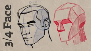 How to Draw 3/4 Face LOOMIS Method | Cintiq 16