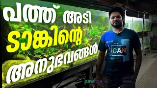 പത്ത് അടി ടാങ്കിൻ്റെ പാഠങ്ങൾ | Reviewing the 10 Feet planted tank - Good & Bad #pawfins #aquarium