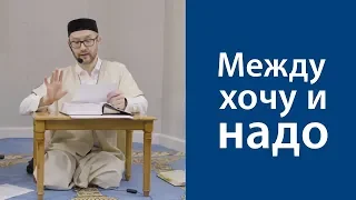 Между хочу и надо