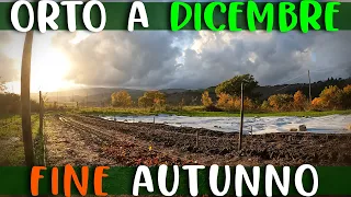 ORTO A DICEMBRE: SALUTIAMO L'AUTUNNO E ACCOGLIAMO L'INVERNO - Orto Supertranquillo Adesso