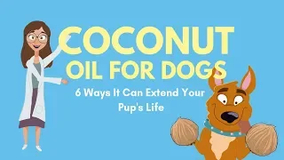 COCONUT OIL FOR DOGS: 6 Ways It Can Extend Your Pup's Life