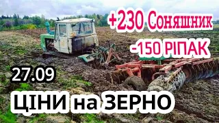 Ціни на зерно 27.09! Після дощів Соняшник росте. Пшеницю не продають! Льон і гречка вигідно?