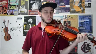 Señorita - Violin Cover