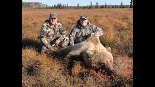 Moose and Grizzly Bear Hunt in the Western Arctic