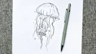 How to Draw a Jellyfish Step by Step / Drawing a jellyfish  / Easy Drawing Tutorials