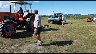 Fiat 1300 dt VS Fendt 412 - Toscana 2019