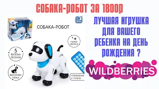 Купила Собаку на Wildberries #wb #ozon #aliexpress #яндексмаркет #покупки #распаковка #робот #собака