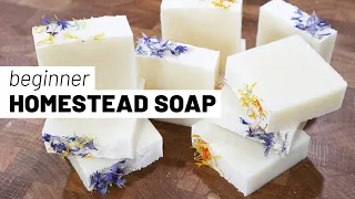 How to make easy homestead soap for beginners using tallow 🧼 (start to finish, with recipe)