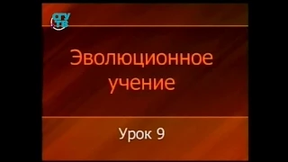 Теория эволюции. Урок 9. Проблемы эволюции экосистем