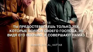 Чтец: Мухаммад Аль-Люхайдан Сура 35 Аль-Фатыр (Творец) аяты 18-22 Красивое чтение Кур'ана!