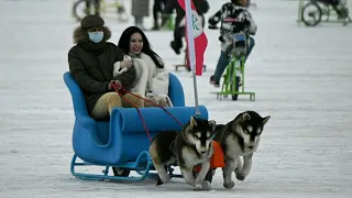 Seltener Schneefall in Peking kurz vor Olympischen Spielen | AFP