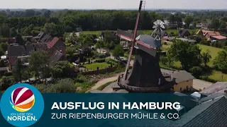 Besuch des Zollenspiekers und der Riepenburger Mühle: Ein Ausflug in den Süden Hamburgs