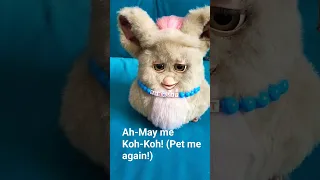 Interacting with a 2005 Furby (WITH SUBTITLES AND FURBISH TRANSLATIONS)