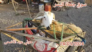 سوق جمعة كيسر جهة سطات شاوية 24/05/2024 مع ثمن 🐏 #عيد_الاضحى