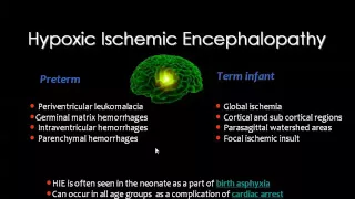 Imaging of pediatric Intracranial Cerebrovascular diseases 2013   Dr Mamdouh Mahfouz