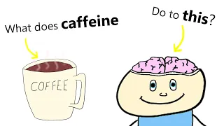 Your Brain on Caffeine