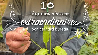 10 légumes vivaces extraordinaires par Bernard Bureau.