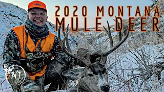 2020 Montana Mule Deer (Day 2 "Three Day Sweep")