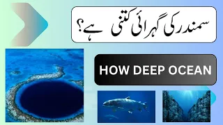 How deep is the Ocean | Samandar kitna gehra hai | Sea Depth | AuLakh Info