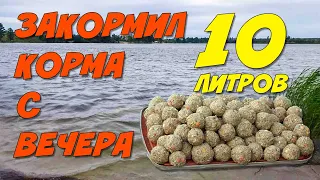 Стоит ли кормить рыбу с вечера? Фидерная Рыбалка на карася. Для чего нужно Сито?