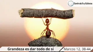 Grandeza es dar todo de sí | Marcos 12, 38-44