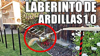 Laberinto para Ardillas 1.0 | Desafío Guerrero Ninja