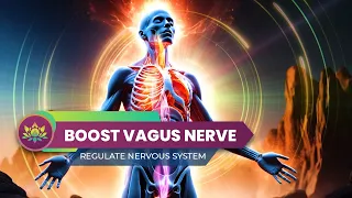 Boost Vagus Nerve Activity, Regulate Nervous System - Release Tension & Constant Fatigue