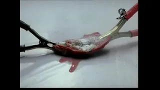 Amnesty International Human Rights Message/Death Row: BBQ (2002)