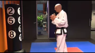 TKD Performance Tips 14    A sneaky back kick that hits everytime with World Champion Kman McEvoy