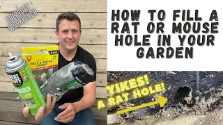 Solving rat, mouse and pest holes in your home and garden. 3 easy solutions to solve a pest hole.