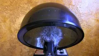 8hrs Commercial Bonnet Hair Dryer  "Sleep Sounds"