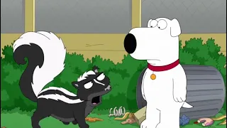 Family Guy   Brian Gets Sprayed by a Skunk