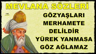 Hz. Mevlana Sözleri 💔 Mutlaka Dinleyin İlaç Gibi 💔 Gözyaşları merhamete delildir...!!!