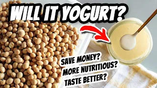 Store-Bought Milk VS Beans 🤜🤛Which makes the best vegan yogurt? // Mary's Test Kitchen