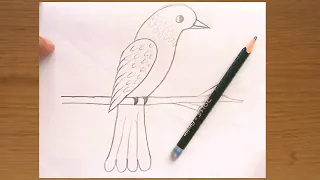 Easy cute bird drawing || How to draw cute bird ||