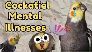 Inside the World of Cockatiel Mental Diseases