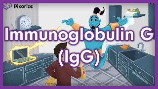 Immunoglobulin G (IgG) USMLE Mnemonic
