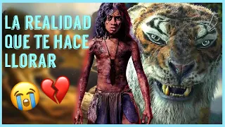 Crítica a Mowgli: Relatos del libro de la selva - #JessYes