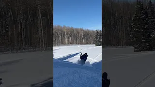 Snowmobile hill climb wheely #snowmobiling #hillclimb #deeppowder #powder #wheelie