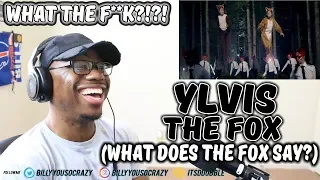 Ylvis - The Fox (What Does The Fox Say) REACTION! BRO WHAT DID I JUST WATCH LMAO