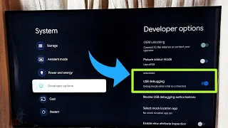 TCL Smart Google TV : How to Enable or Disable USB Debugging Mode