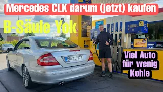 Warum sich der Kauf eines CLK (nicht) lohnt?Wenig Kohle,geiles Auto. Mercedes B-Säule Yok.