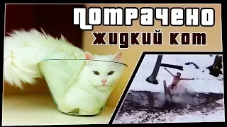 Жидкий кот | ПОТРАЧЕНО